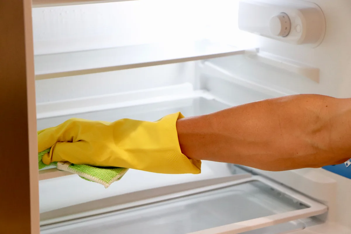 Nettoyage des réfrigérateurs et équipements